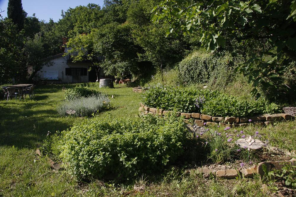 Farm Stay Domacija Butul Копер Стая снимка