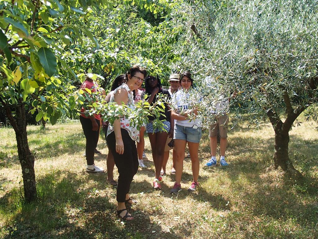 Farm Stay Domacija Butul Копер Екстериор снимка
